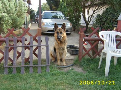 rambo_gina_1alom_szukak_20_144545.jpg